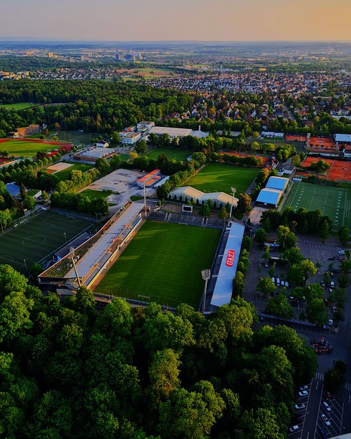 学院